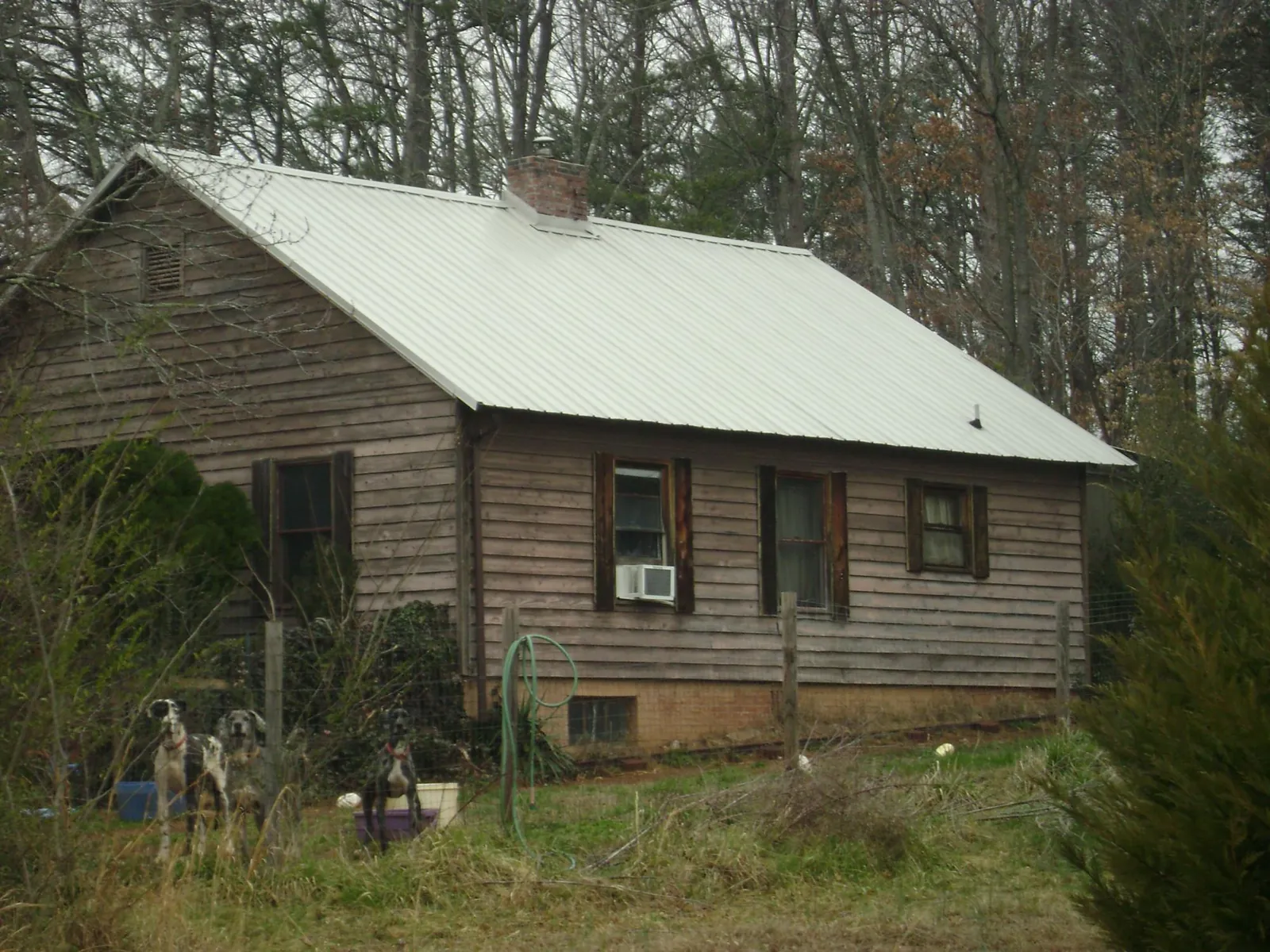 White metal roof on an old wood sided farmhouse, from a Asphalt Shingle Roof Repair job in Otego